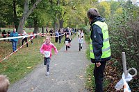 26. Stadtparklauf Sondershausen und... Bild: 26. Stadtparklauf Sondershausen und...