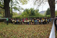 26. Stadtparklauf Sondershausen und... Bild: 26. Stadtparklauf Sondershausen und...