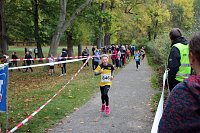 26. Stadtparklauf Sondershausen und... Bild: 26. Stadtparklauf Sondershausen und...