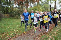 26. Stadtparklauf Sondershausen und... Bild: 26. Stadtparklauf Sondershausen und...