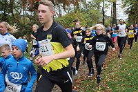 26. Stadtparklauf Sondershausen und... Bild: 26. Stadtparklauf Sondershausen und...