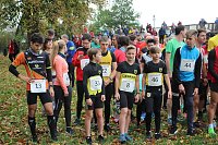 26. Stadtparklauf Sondershausen und... Bild: 26. Stadtparklauf Sondershausen und...