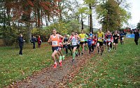 26. Stadtparklauf Sondershausen und... Bild: 26. Stadtparklauf Sondershausen und...
