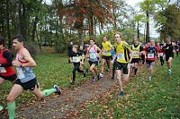 26. Stadtparklauf Sondershausen und... Bild: 26. Stadtparklauf Sondershausen und...