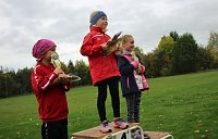 26. Stadtparklauf Sondershausen und... Bild: 26. Stadtparklauf Sondershausen und...