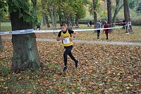 26. Stadtparklauf Sondershausen und... Bild: 26. Stadtparklauf Sondershausen und...