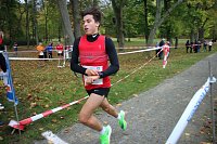 26. Stadtparklauf Sondershausen und... Bild: 26. Stadtparklauf Sondershausen und...