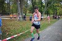 26. Stadtparklauf Sondershausen und... Bild: 26. Stadtparklauf Sondershausen und...