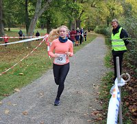 26. Stadtparklauf Sondershausen und... Bild: 26. Stadtparklauf Sondershausen und...