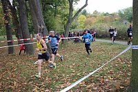 26. Stadtparklauf Sondershausen und... Bild: 26. Stadtparklauf Sondershausen und...