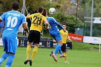 Bild: Wacker in Auerbach 