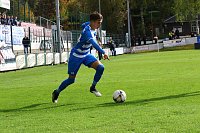 Bild: Wacker in Auerbach 