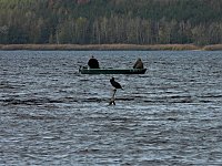 Bild: Peter Blei am Muldestausee