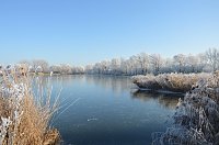 Bild: Winterzauber