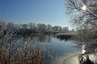 Bild: Winterzauber