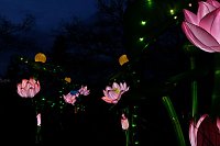 Lichterwelten Bild: Lichterwelten