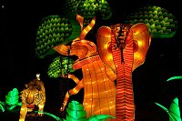 Lichterwelten Bild: Lichterwelten