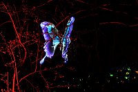 Lichterwelten Bild: Lichterwelten