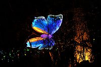 Lichterwelten Bild: Lichterwelten