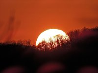 Bild: Sonnenuntergang