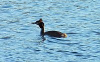 Rappbodetalsperre Bild: Rappbodetalsperre