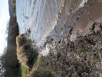 Bild: Stausee Kelbra