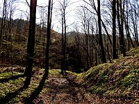 Unterwegs im Brandesbachtal Bild: Unterwegs im Brandesbachtal