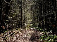 Unterwegs im Brandesbachtal Bild: Unterwegs im Brandesbachtal