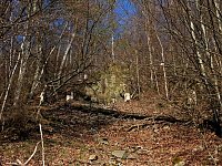 Unterwegs im Brandesbachtal Bild: Unterwegs im Brandesbachtal