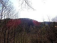 Unterwegs im Brandesbachtal Bild: Unterwegs im Brandesbachtal