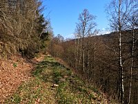 Unterwegs im Brandesbachtal Bild: Unterwegs im Brandesbachtal