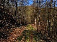 Unterwegs im Brandesbachtal Bild: Unterwegs im Brandesbachtal