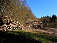 Unterwegs im Brandesbachtal Bild: Unterwegs im Brandesbachtal