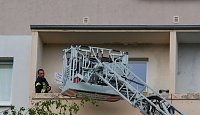 Bild:          
