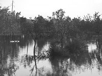 Bild: Hochwasser in Altendorf 