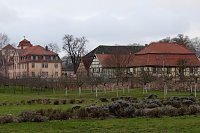 Bild: Winterliche Garten in der Orangerie Bendeleben