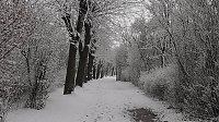 Bild: Winter unterm Kyffh&auml;user