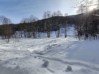 Bild: Im Brandesbachtal