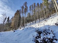 Bild: Im Brandesbachtal