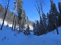 Bild: Im Brandesbachtal