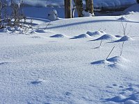 Bild: Im Brandesbachtal