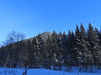 Bild: Im Brandesbachtal