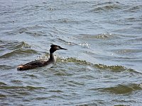 Bild: Peter Blei unterwegs am Stausee Kelbra