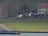 Bild: Peter Blei unterwegs am Stausee Kelbra