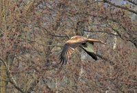 Bild: Peter Blei unterwegs am Stausee Kelbra