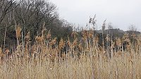 Bild: Unterwegs an der Numburg