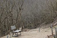 Bild: Besuch im Affenpark Strau&szlig;berg
