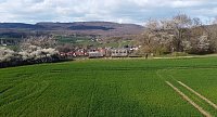 Bild: Neustadt und seine Holzlok