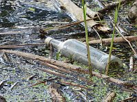 Bild: Ausflug zum Muldestausee