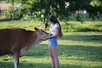 Eine ungewöhnliche Freundschaft Bild: Eine ungewöhnliche Freundschaft